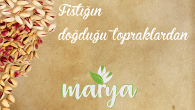 sizin için harika bir logo tasarlayabilirim