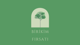 Birikim Fırsatı