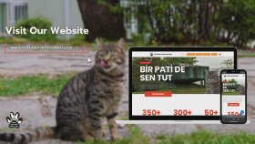 ODTÜ Hayvan Dostları Websitesi