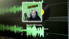 Seslendirmeler
