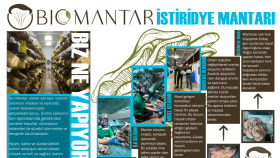 Pano,Pankart Tasarımı