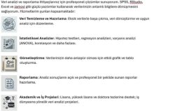Veri Analizi ve Raporlama (SPSS, RStudio, Excel, Jamovi)