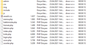 Hosting Kurulum