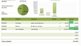 excel'de işlerinizi yapabilirim