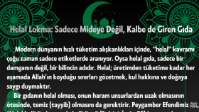 Özel ve özgün metin yazarlığı ve tasarım