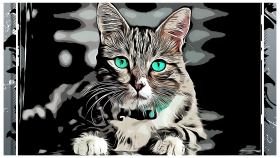 Cartoon tarzda örnek