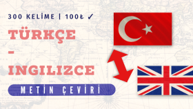 Türkçe-İngilizce çeviriyi profesyonel şekilde yaparım