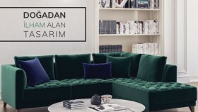 Profesyonel Weordpress Anahtar teslimi Projesi