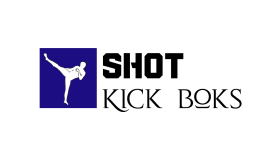 profesyonel şekilde logo tasarlarım