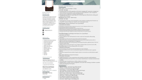 Profesyonel CV Hazırlandı