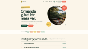 hazır tema kullanmadan size özel web sitesi kodlarım