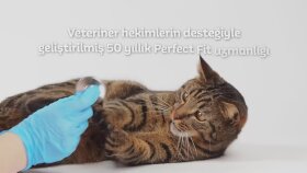Perfect Fit - Sosyal Medya Reklam