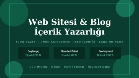 web sitesi için seo uyumlu türkçe içerik yazarım