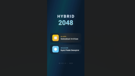 Hybrid 2048 Oyunum