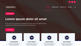 Kurumsal Web Sitesi - Wordpress