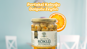 Köklü Zeytincilik SM görseli