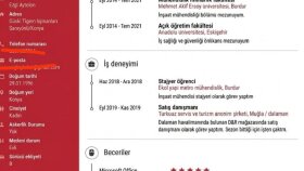 sanal asistanınız olur iş hayatınızı kolaylaştırırım