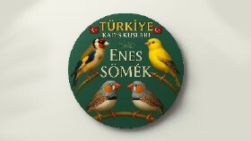 Logo tasarımı 