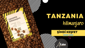 E-Ticaret Mağaza Ürün Tasarımları