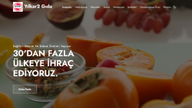 Çoklu Dilli Web Uygulaması