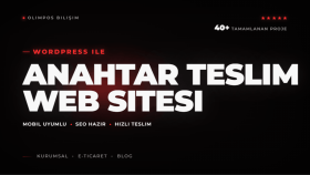 sıfırdan wordpress sitesi hazırlarım