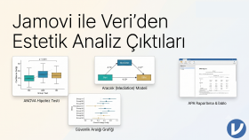 jamovi ile istatistiksel veri analizi yapabilirim