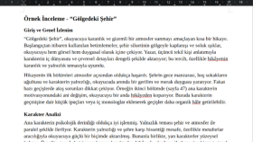 Örnek İnceleme Metini