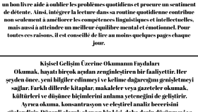 Profesyonel İngilizce-Türkçe Çevirmen