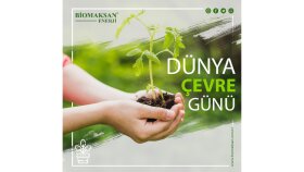 sosyal medya tasarımlarınızı yapabilirim