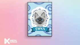 Poster Tasarımı Proje Örneği - Çona
