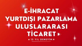 tüm yurt dışı satış ve pazarlama süreçlerinizi yönetebilirim