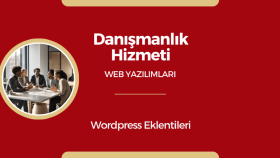 web hizmetleri konusunda danışmanlık hizmeti veriyorum