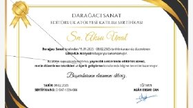 Editörlük Eğitimi Sertifikam