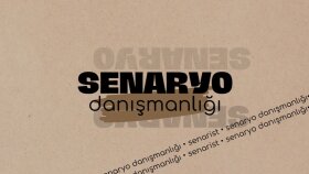 senaryonuzu analiz ediyor ve geliştiriyorum