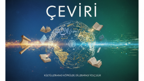 web sitesi i̇çeriklerini hızlı ve profesyonel çeviririm