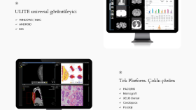 Anahtar teslim wordpress web sitesi
