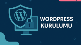 bir günde profesyonel wordpress tema kurulumu yaparım