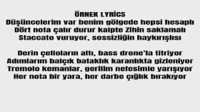  çeşitli tarzlarda şarkı yazarım