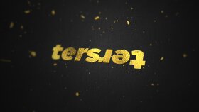 Ters Firması