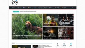 Wordpress Siteler