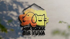 Markanız için özgün ve minimalist logo tasarlarım
