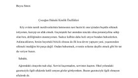 Çocuğun Hukuki Kimlik Özellikleri-Yayımlanmış Öykü