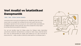 Veri Analizi Hizmetlerim