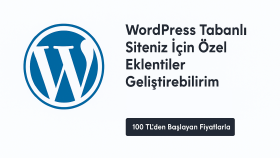 Wordpress tabanlı web sitenizin için eklenti yazabilirim