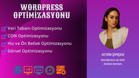 wordpress sistemleri için optimize yapıyorum
