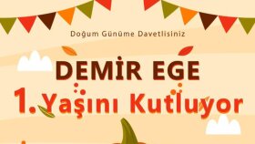 Konsept Davetiye Tasarımı