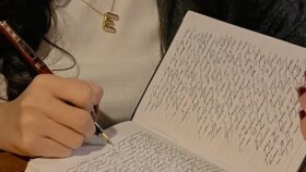 gündelik çeviriler yapabilirim