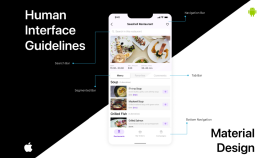 Human Interface Guidelines & Material Design