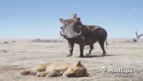 Çalışmalarımdan bir örnek