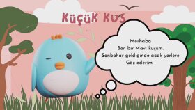 hareketli resimlerle mini tanıtım videoları oluşturabilirim